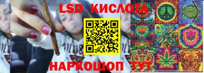 бошки Малгобек