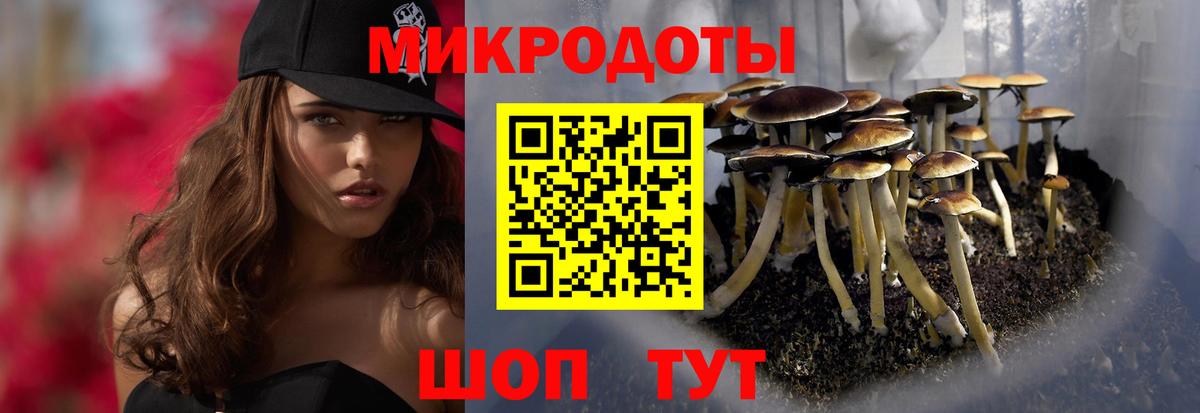 Галлюциногенные грибы Psilocybine cubensis Батайск